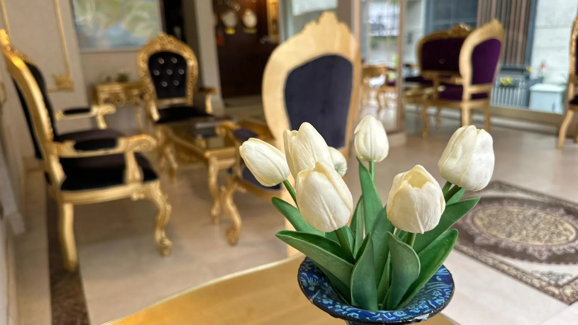 Napolyon Hotel Istanbul Turkey
